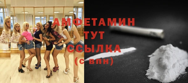 гидра Арсеньев