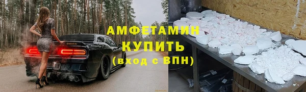 гидра Арсеньев